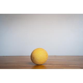 honigmelone ''galia''