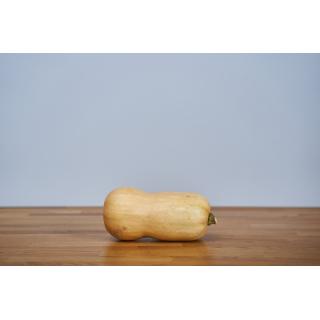 kürbis butternut