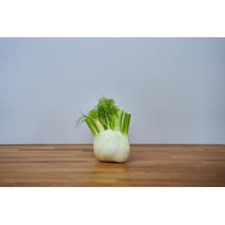 fenchel