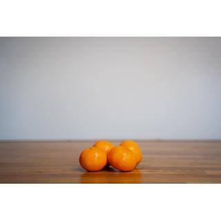 mandarine ''murcott''