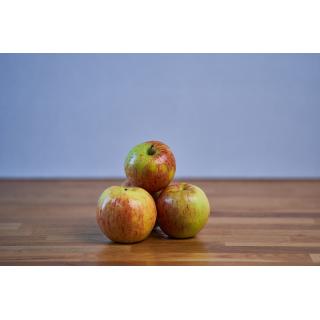 apfel ''jonagold''