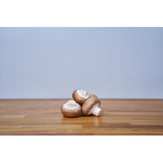 steinchampignons