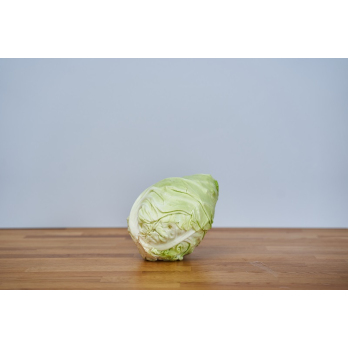 spitzkohl