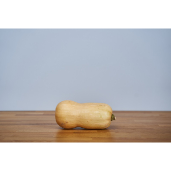 kürbis butternut