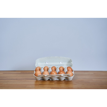 bio-eier 10er, größe L