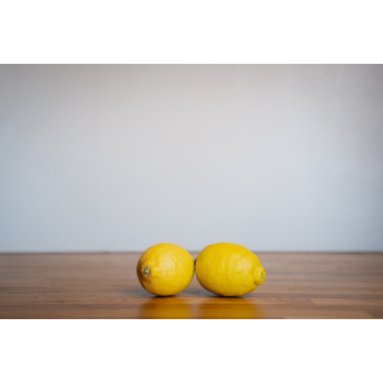 zitronen ''primofori''