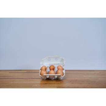 bio-eier 6er, größe L